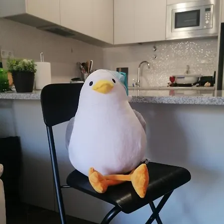 Apartamento Casa Conchas *