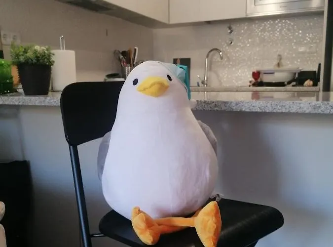 Διαμέρισμα Casa Conchas *